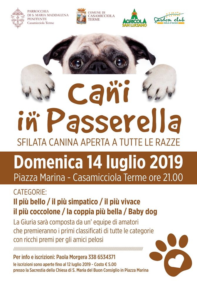 Cani In Passerella