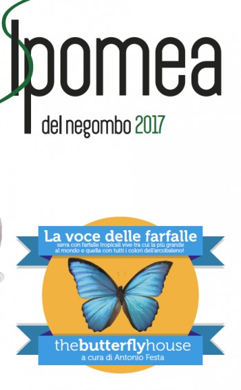 Lepidoptera - La voce delle Farfalle